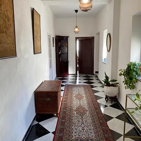 Gran Casa Senorial De 300m En Centro Historico Appartement