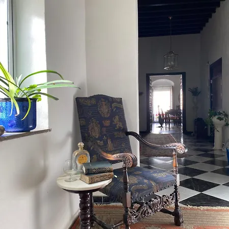 Appartement Gran Casa Senorial De 300m En Centro Historico *